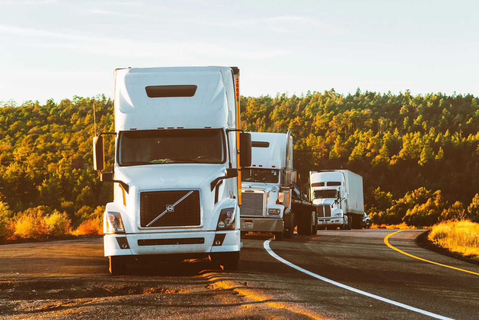 Semi-trailer truck stopped at the side of a road